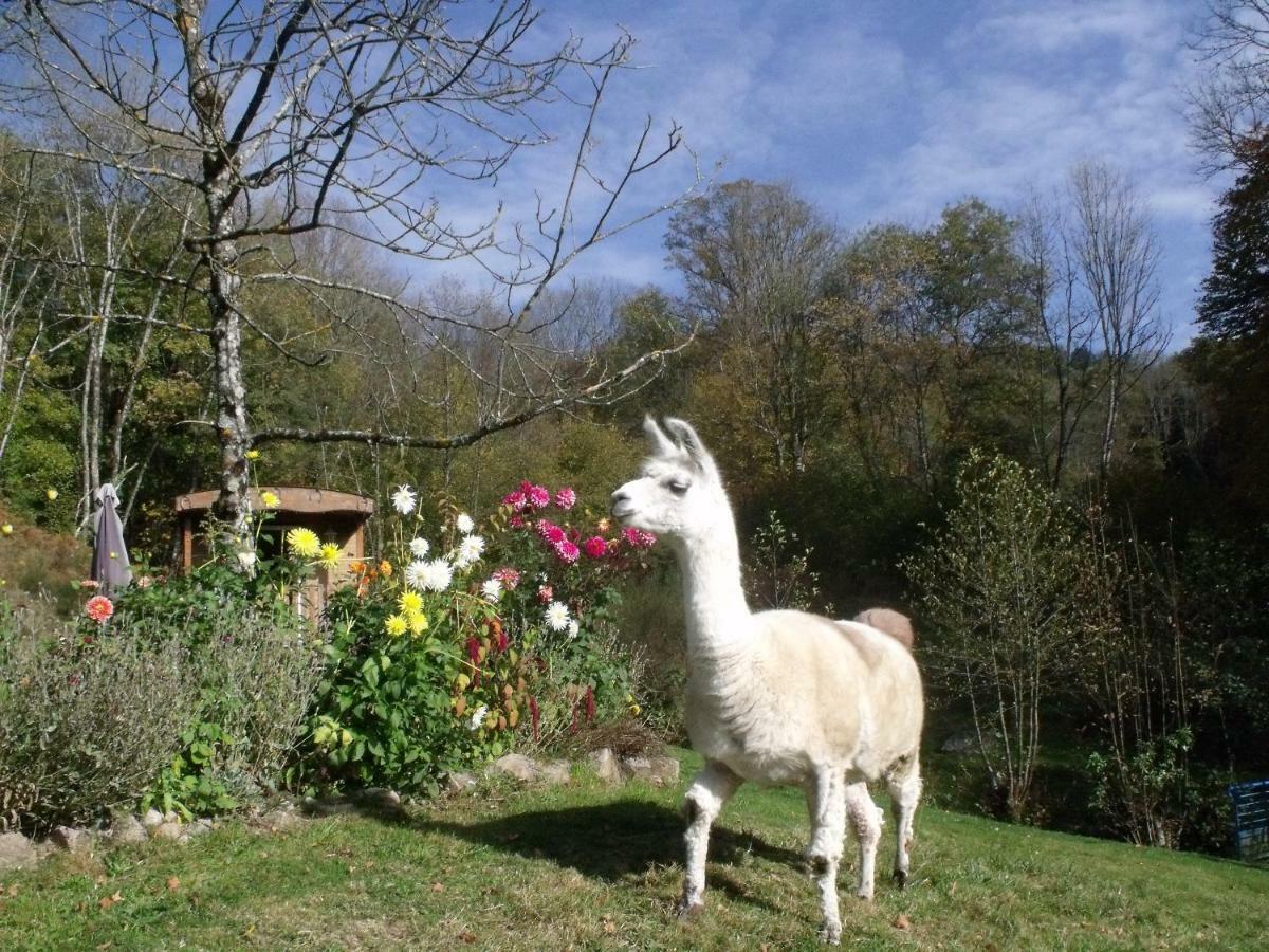 Le Domaine Du Chatelet Ferdrupt Luaran gambar