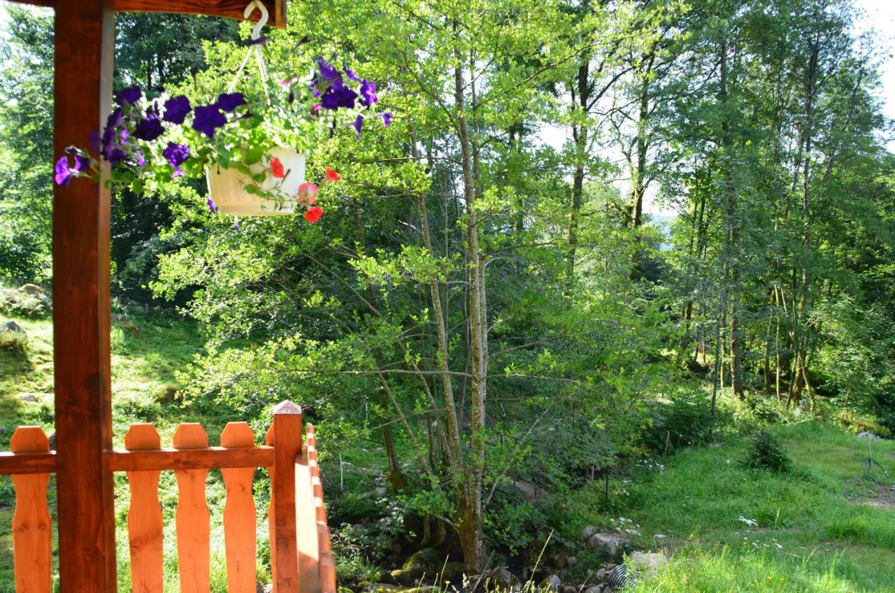 Le Domaine Du Chatelet Ferdrupt Luaran gambar
